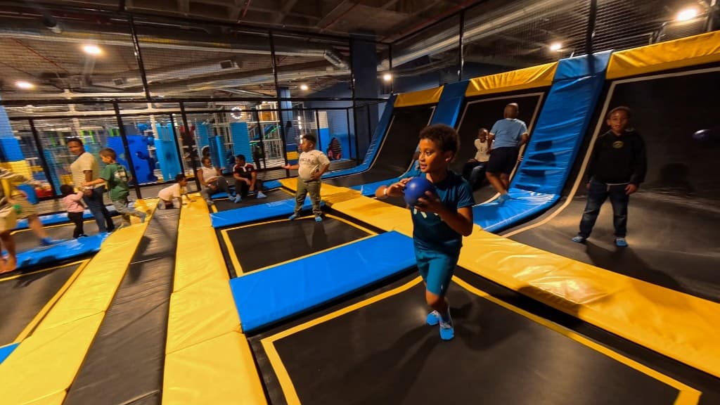 Dodgeball Zone